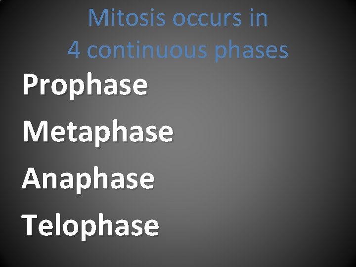 Mitosis occurs in 4 continuous phases Prophase Metaphase Anaphase Telophase 