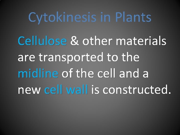 Cytokinesis in Plants Cellulose & other materials are transported to the midline of the