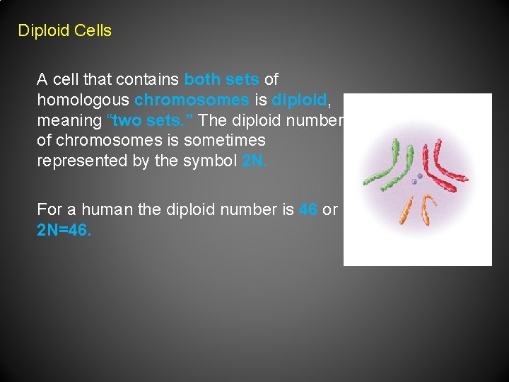 Diploid Cells A cell that contains both sets of homologous chromosomes is diploid, meaning