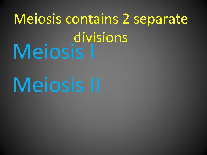 Meiosis contains 2 separate divisions Meiosis II 