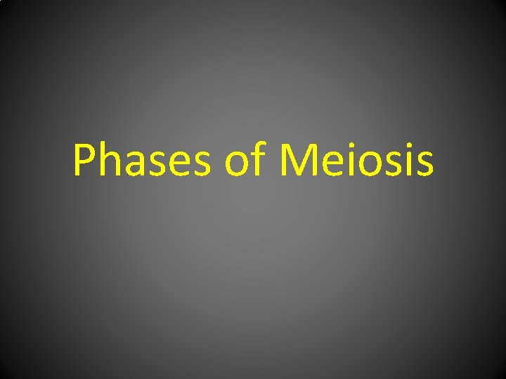 Phases of Meiosis 