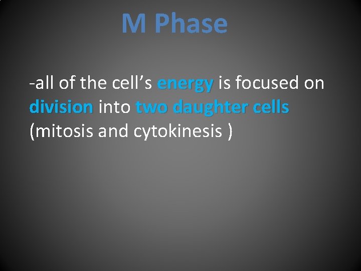 M Phase -all of the cell’s energy is focused on division into two daughter