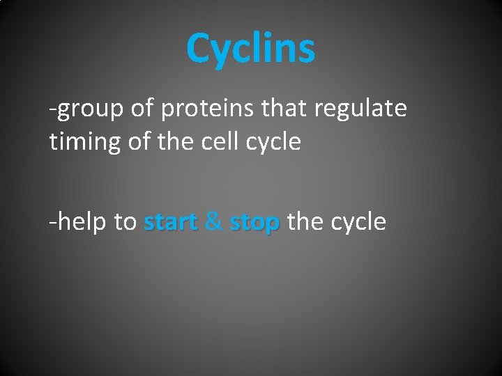 Cyclins -group of proteins that regulate timing of the cell cycle -help to start