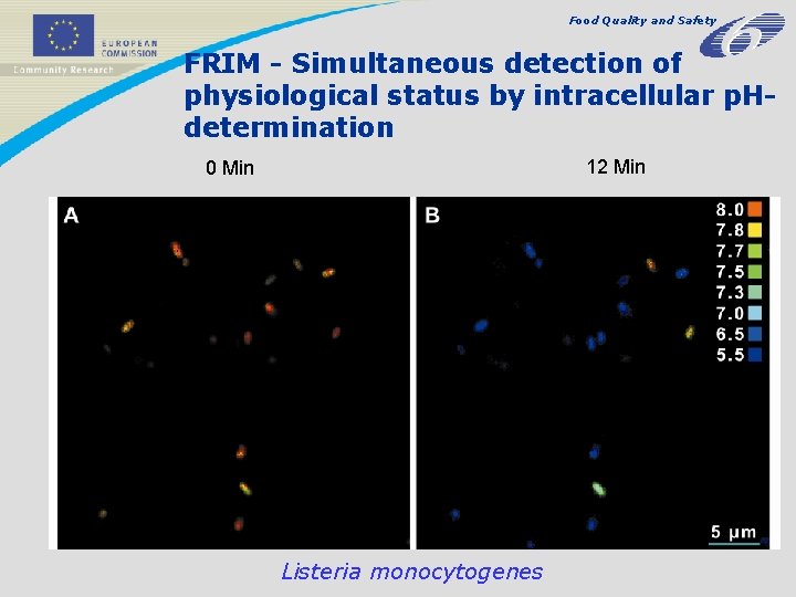 Food Quality and Safety FRIM - Simultaneous detection of physiological status by intracellular p.