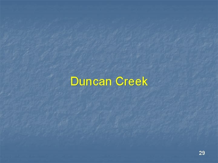 Duncan Creek 29 Duncan Creek 29