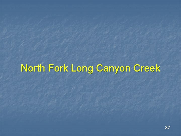 North Fork Long Canyon Creek 37 North Fork Long Canyon Creek 37