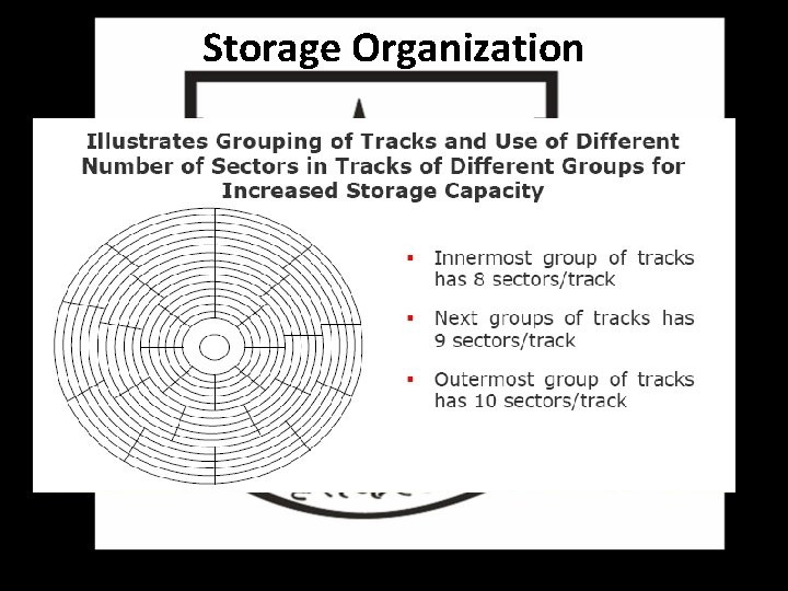 Storage Organization 
