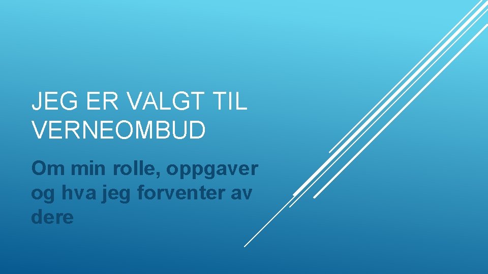 JEG ER VALGT TIL VERNEOMBUD Om min rolle, oppgaver og hva jeg forventer av