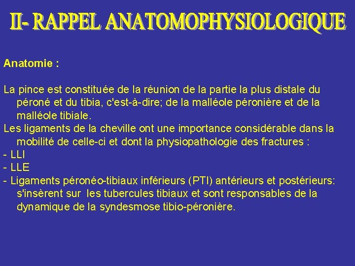 Anatomie : La pince est constituée de la réunion de la partie la plus Anatomie : La pince est constituée de la réunion de la partie la plus
