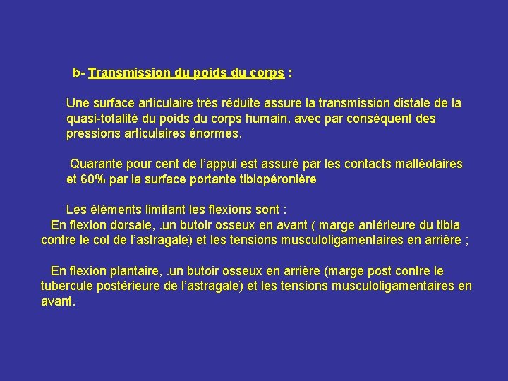 b- Transmission du poids du corps : Une surface articulaire très réduite assure la b- Transmission du poids du corps : Une surface articulaire très réduite assure la
