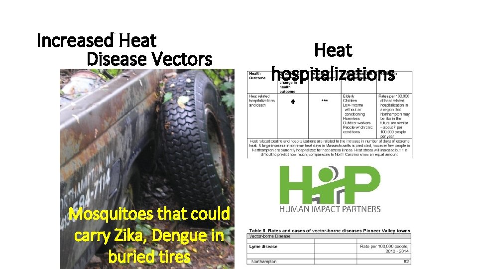 Increased Heat Disease Vectors Mosquitoes that could carry Zika, Dengue in buried tires Heat