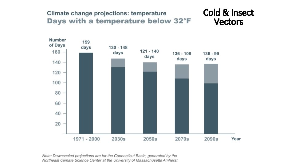 Cold & Insect Vectors 