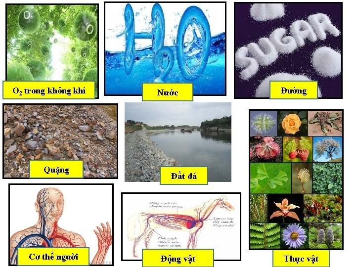 O 2 trong không khí Quặng Cơ thể người Nước Đường Đất đá Động