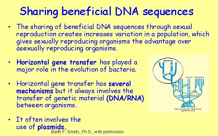 Sharing beneficial DNA sequences • The sharing of beneficial DNA sequences through sexual reproduction