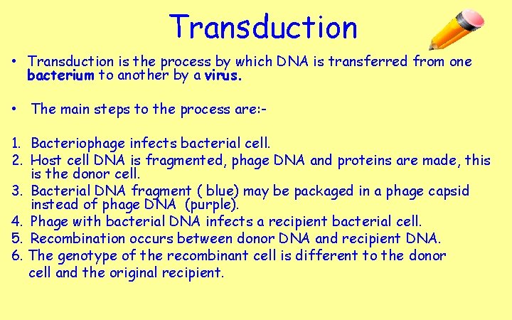 Transduction • Transduction is the process by which DNA is transferred from one bacterium