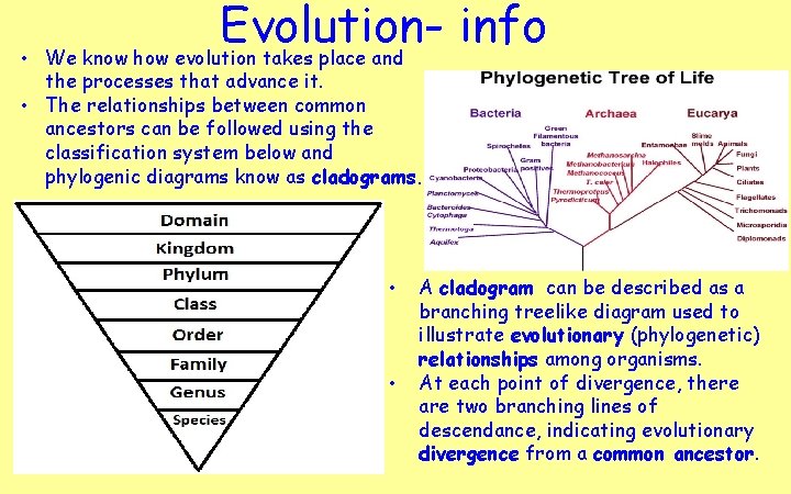  • Evolutioninfo We know how evolution takes place and the processes that advance