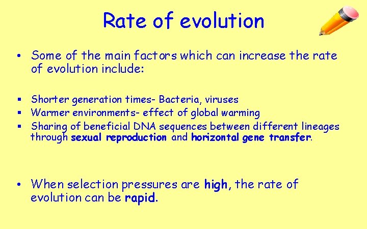 Rate of evolution • Some of the main factors which can increase the rate