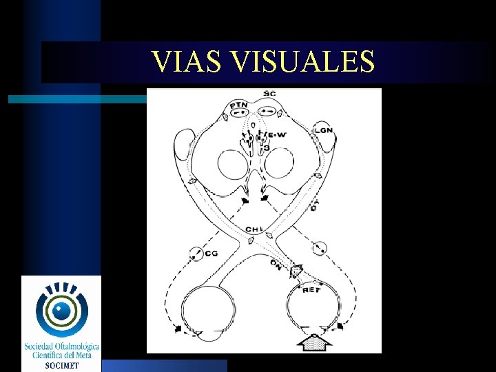 VIAS VISUALES 