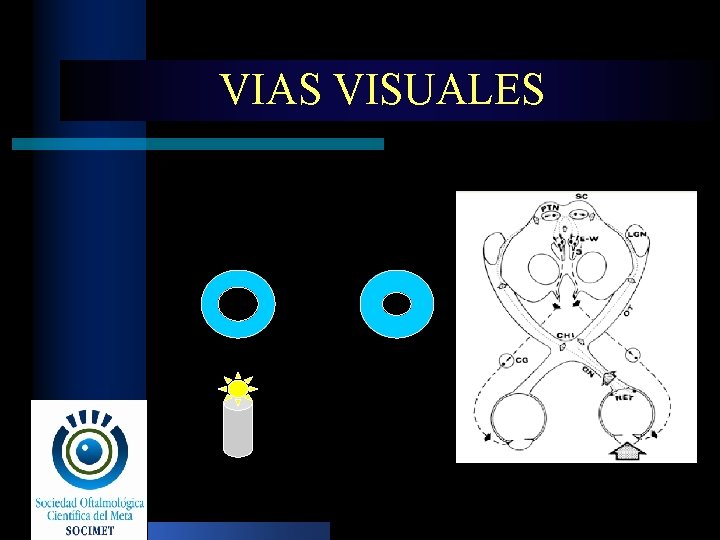 VIAS VISUALES 