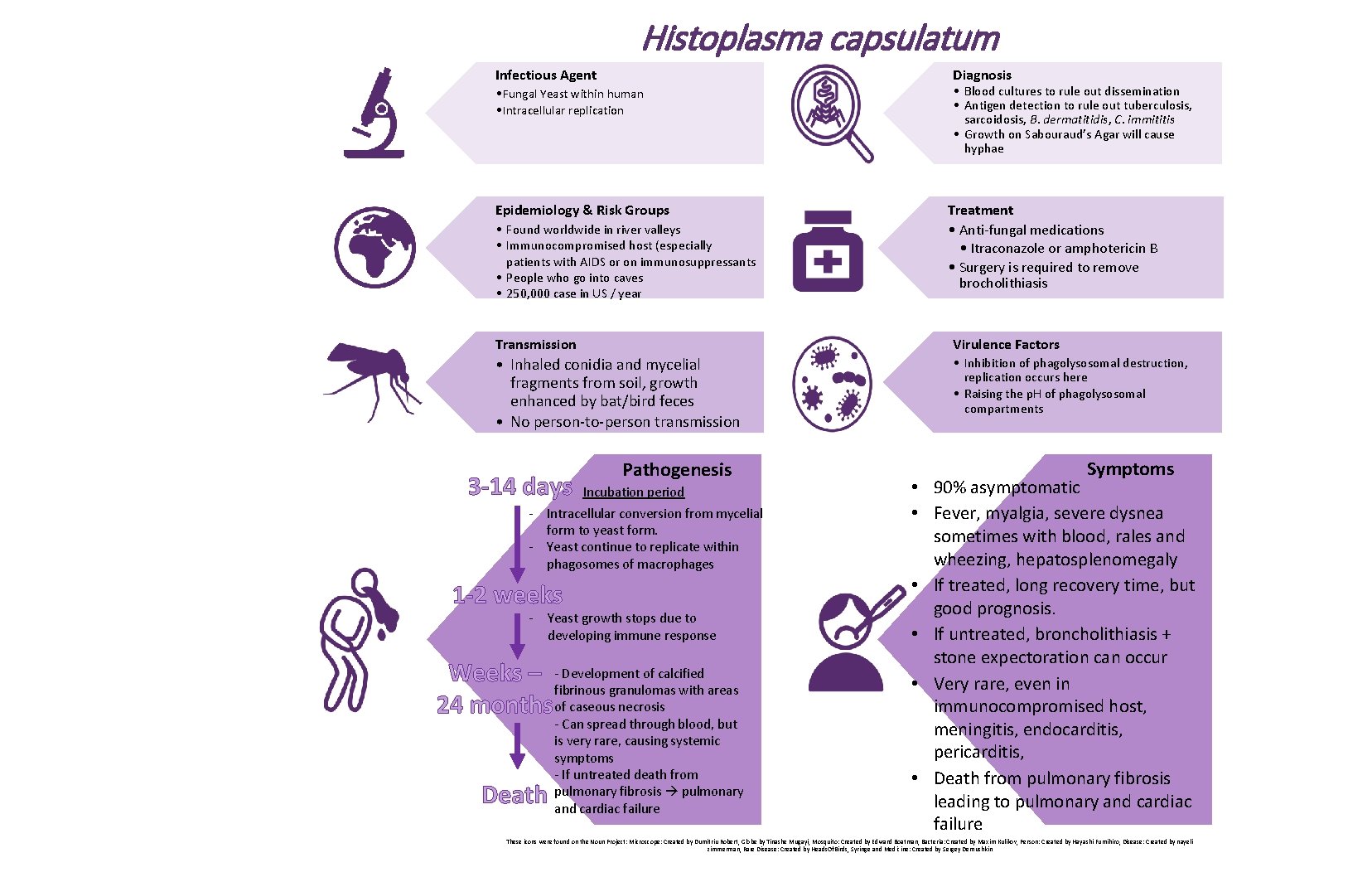 Histoplasma capsulatum Infectious Agent Diagnosis • Fungal Yeast within human • Intracellular replication Epidemiology