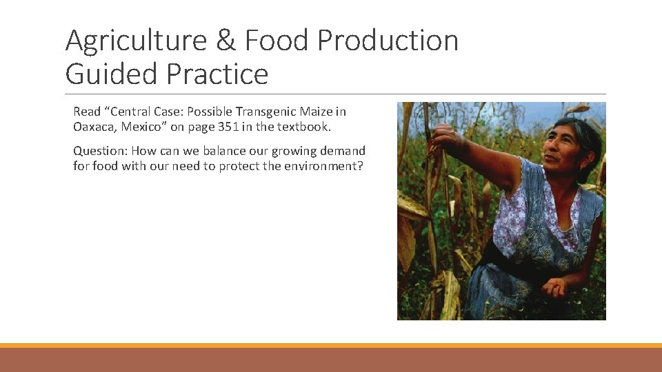 Agriculture & Food Production Guided Practice Read “Central Case: Possible Transgenic Maize in Oaxaca,