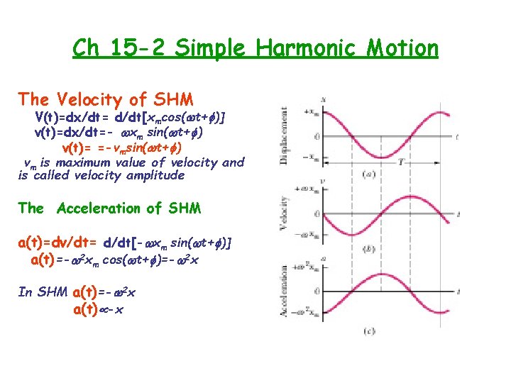 Ch 15 -2 Simple Harmonic Motion The Velocity of SHM V(t)=dx/dt= d/dt[xmcos( t+ )]