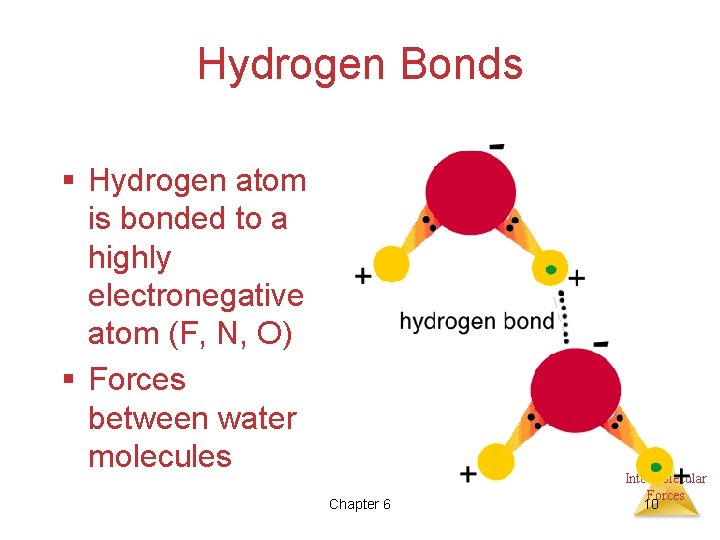 Hydrogen Bonds § Hydrogen atom is bonded to a highly electronegative atom (F, N,