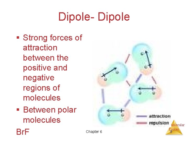 Dipole- Dipole § Strong forces of attraction between the positive and negative regions of