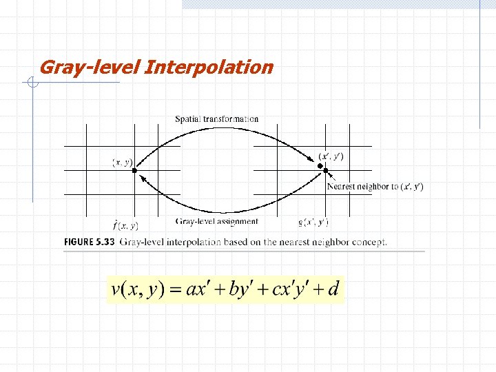 Gray-level Interpolation 