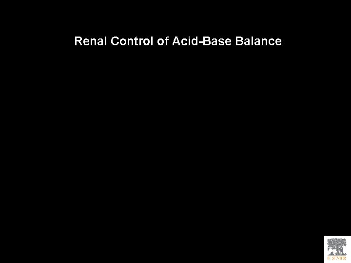 Renal Control of Acid-Base Balance 