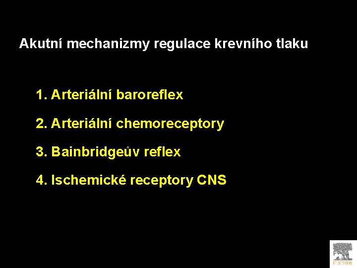 Akutní mechanizmy regulace krevního tlaku 1. Arteriální baroreflex 2. Arteriální chemoreceptory 3. Bainbridgeův reflex
