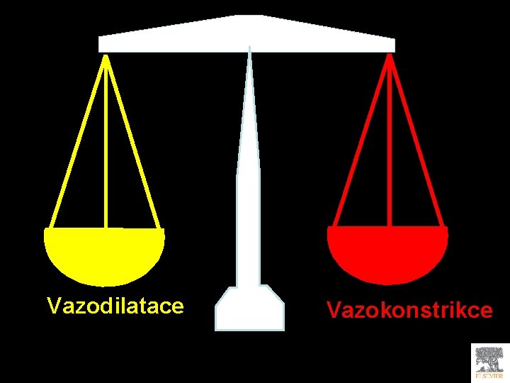 Vazodilatace Vazokonstrikce 