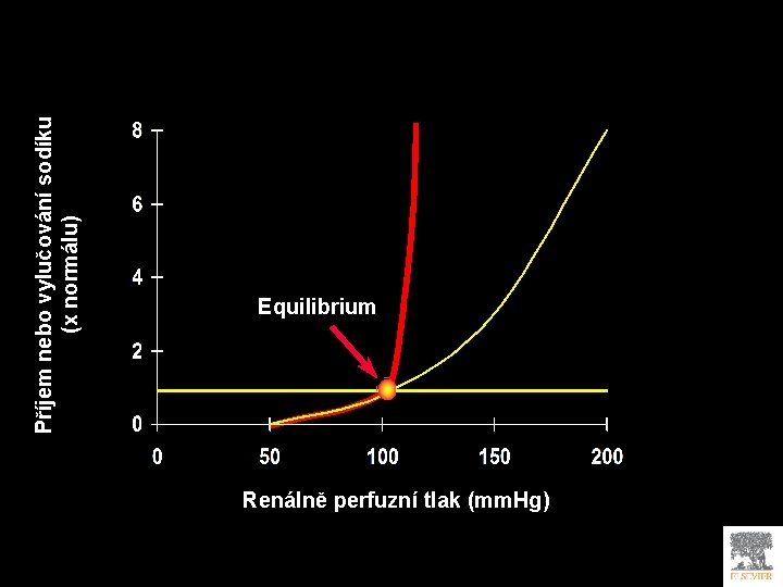 Příjem nebo vylučování sodíku (x normálu) A Equilibrium Renálně perfuzní tlak (mm. Hg) B