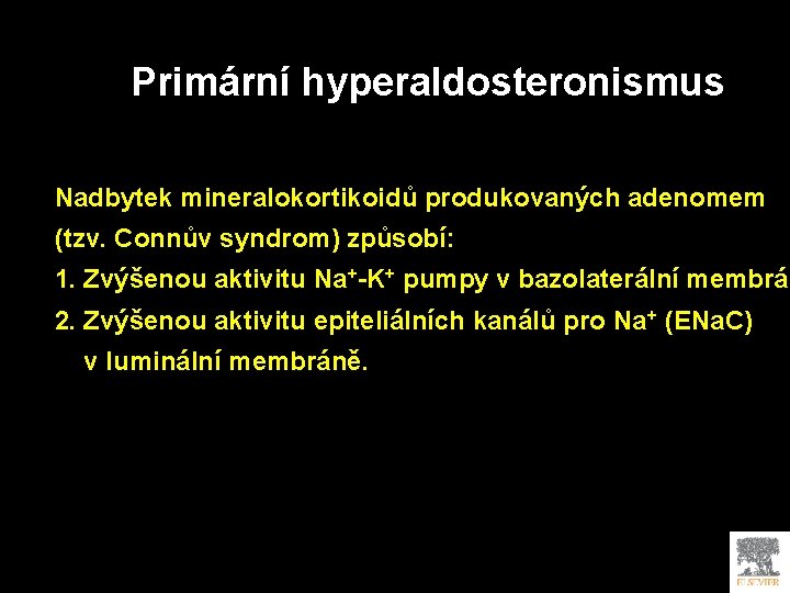 Primární hyperaldosteronismus Nadbytek mineralokortikoidů produkovaných adenomem (tzv. Connův syndrom) způsobí: 1. Zvýšenou aktivitu Na+-K+