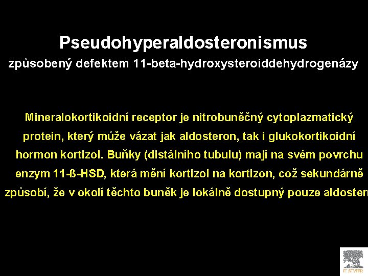 Pseudohyperaldosteronismus způsobený defektem 11 -beta-hydroxysteroiddehydrogenázy Mineralokortikoidní receptor je nitrobuněčný cytoplazmatický protein, který může vázat