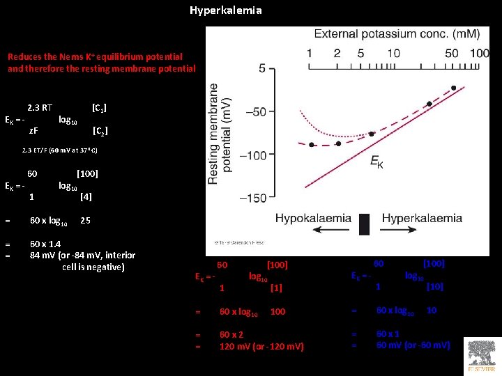 Hyperkalemia Reduces the Nerns K+ equilibrium potential and therefore the resting membrane potential EK