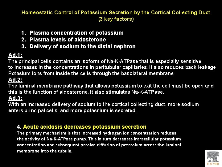 Homeostatic Control of Potassium Secretion by the Cortical Collecting Duct (3 key factors) 1.