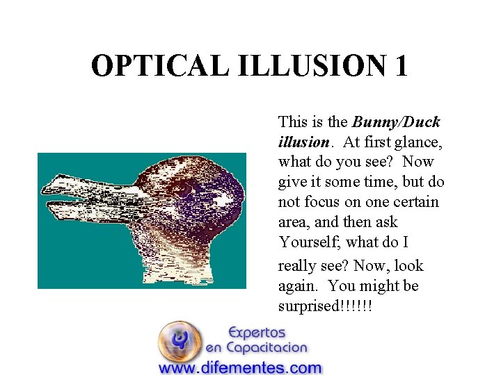 OPTICAL ILLUSION 1 This is the Bunny/Duck illusion. At first glance, what do you