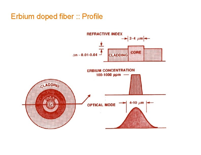 Erbium doped fiber : : Profile 