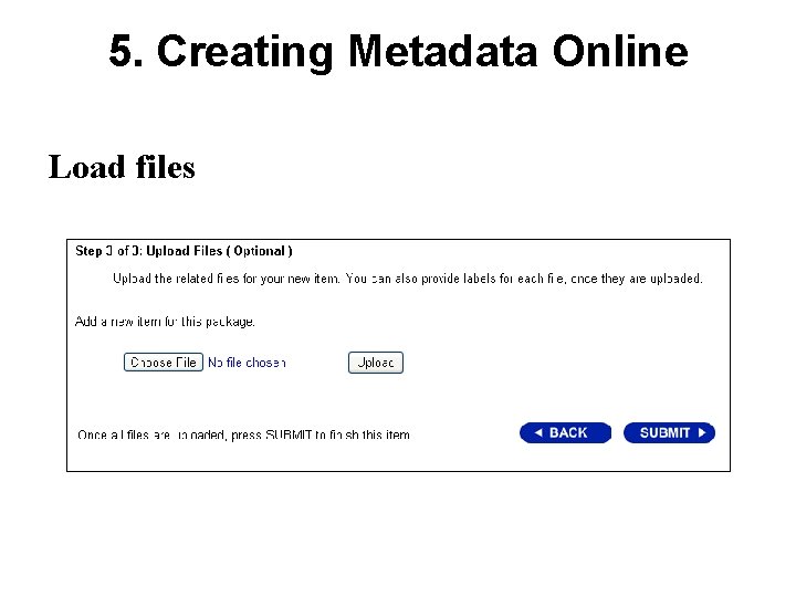 5. Creating Metadata Online Load files 