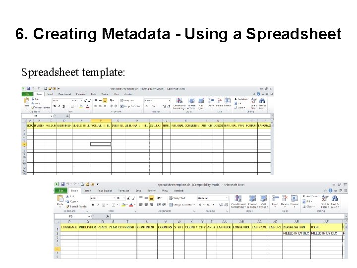 6. Creating Metadata - Using a Spreadsheet template: 
