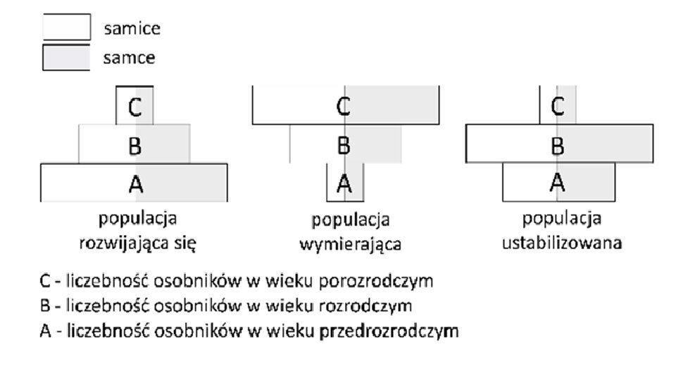 POPULACJA I JEJ CECHY OPRACOWAA AGNIESZKA DDA Populacja