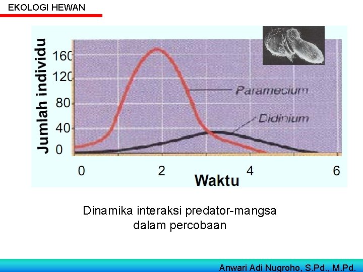 EKOLOGI HEWAN Dinamika interaksi predator-mangsa dalam percobaan Anwari Adi Nugroho, S. Pd. , M.