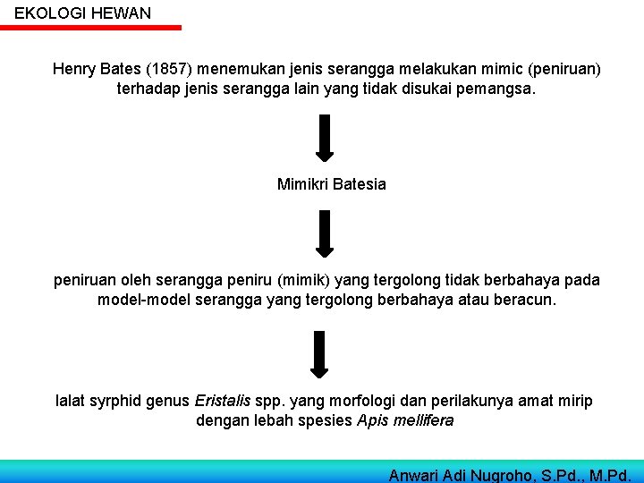 EKOLOGI HEWAN Henry Bates (1857) menemukan jenis serangga melakukan mimic (peniruan) terhadap jenis serangga