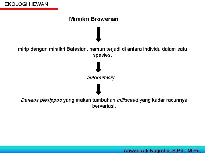 EKOLOGI HEWAN Mimikri Browerian mirip dengan mimikri Batesian, namun terjadi di antara individu dalam