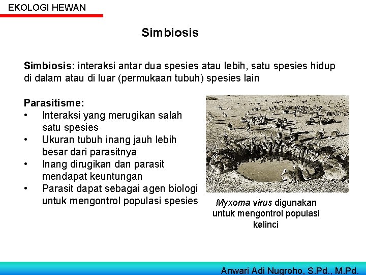 EKOLOGI HEWAN Simbiosis: interaksi antar dua spesies atau lebih, satu spesies hidup di dalam