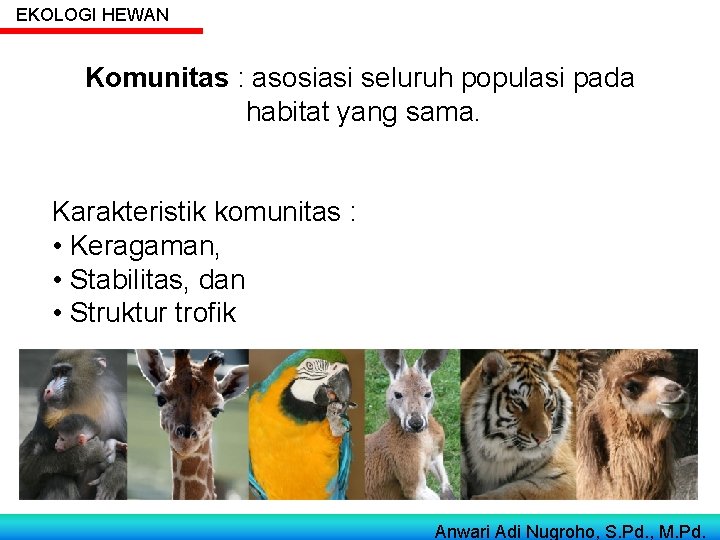 EKOLOGI HEWAN Komunitas : asosiasi seluruh populasi pada habitat yang sama. Karakteristik komunitas :
