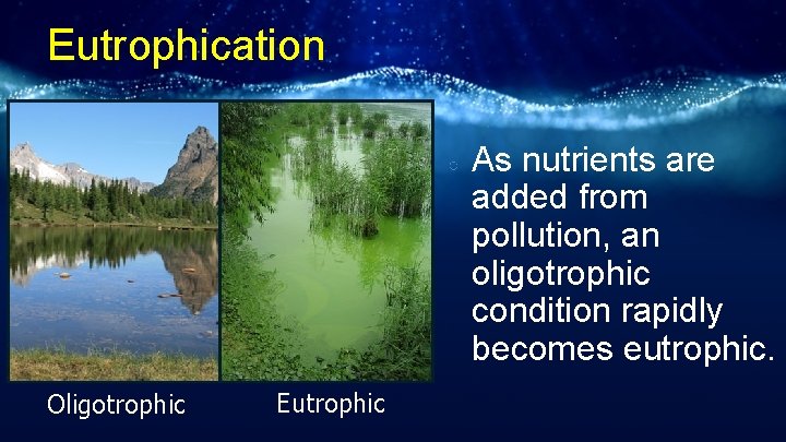 Eutrophication ○ Oligotrophic Eutrophic As nutrients are added from pollution, an oligotrophic condition rapidly