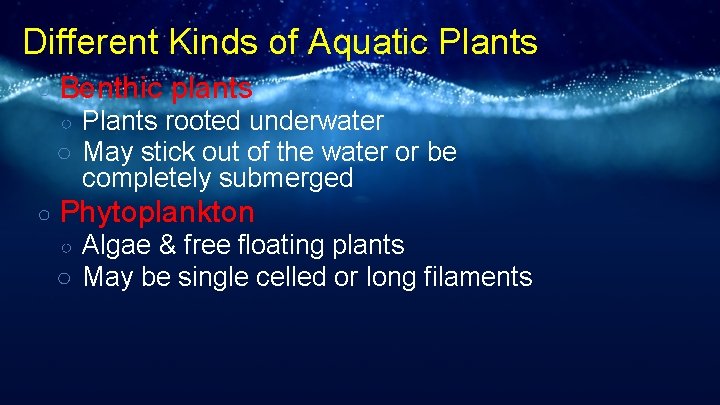 Different Kinds of Aquatic Plants ○ Benthic plants Plants rooted underwater ○ May stick
