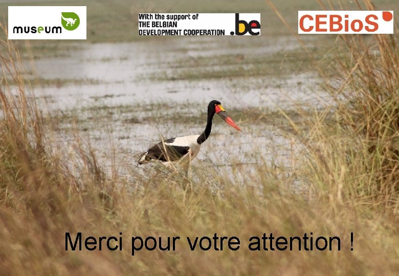 Merci pour votre attention ! 